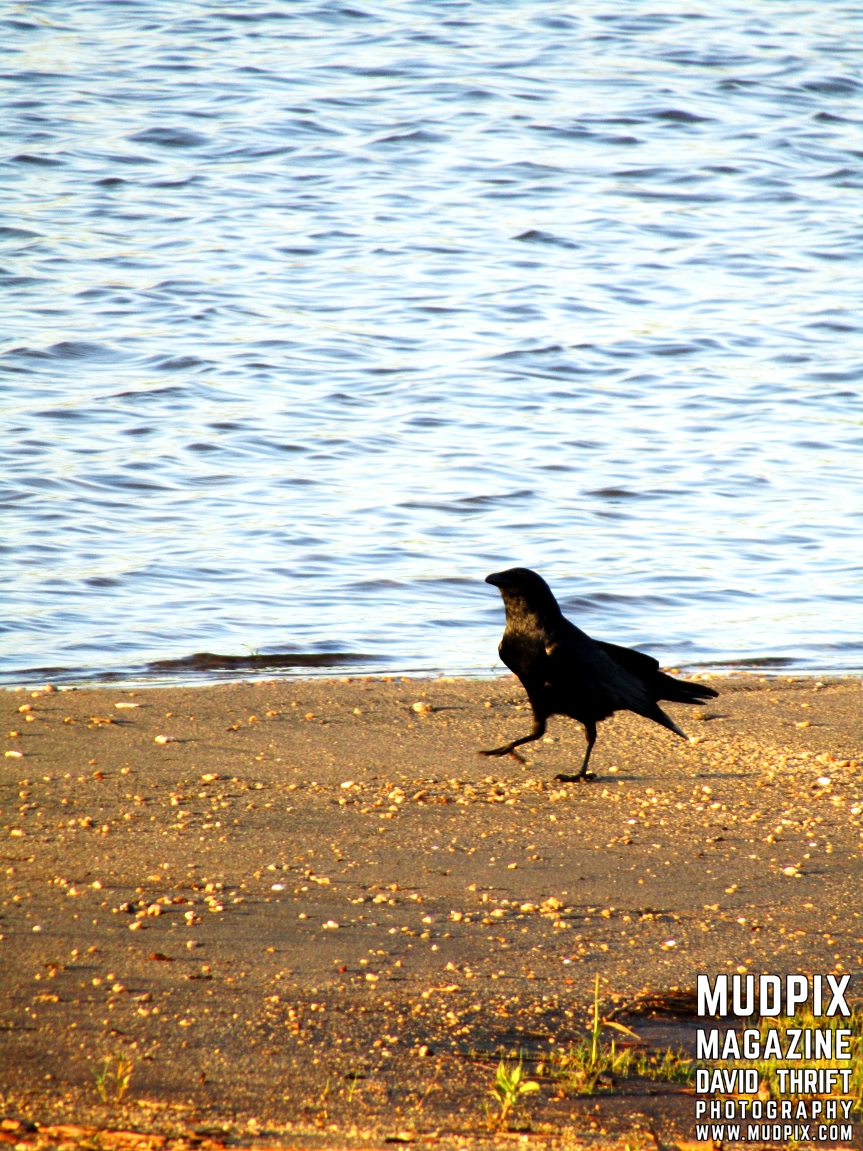 Day Trip April 26th 2019