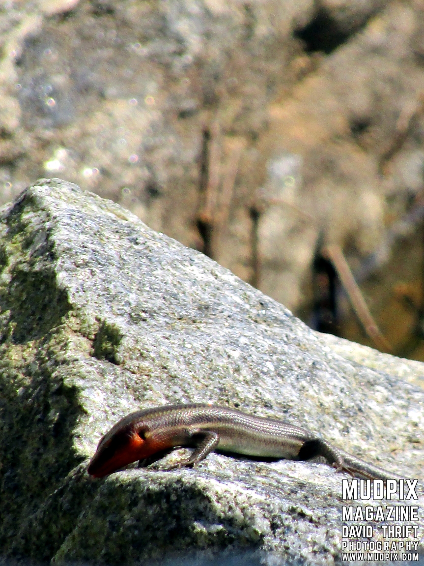 Day Trip Sunday April 28th 2019