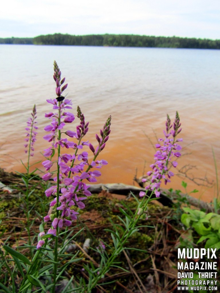 Day Trip Saturday May 11th 2019