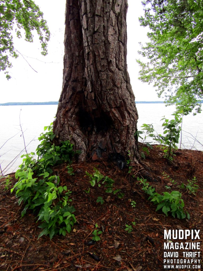 Day Trip Saturday May 11th 2019