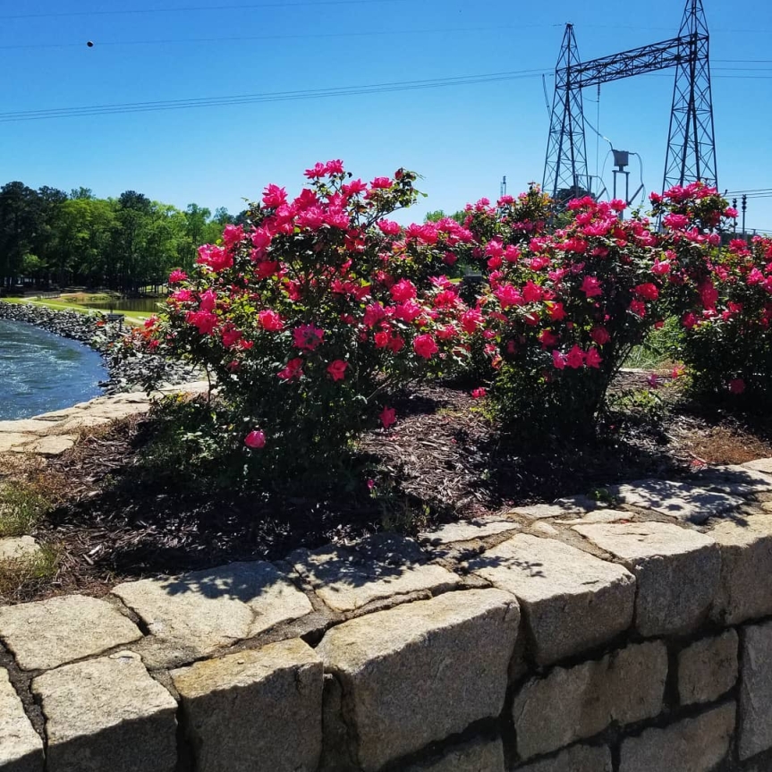 Instagram Archive Photo 5